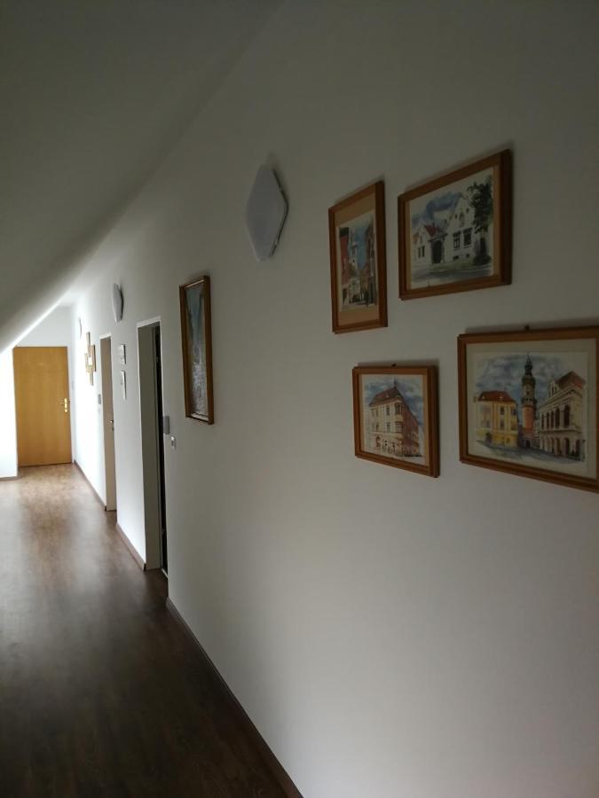 Levanda Panzio Couette-café Kópháza