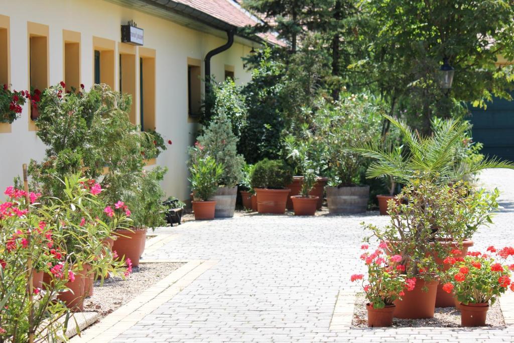 Levanda Panzio Couette-café Kópháza