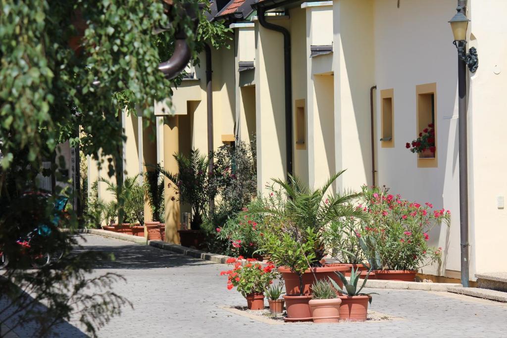 Levanda Panzio